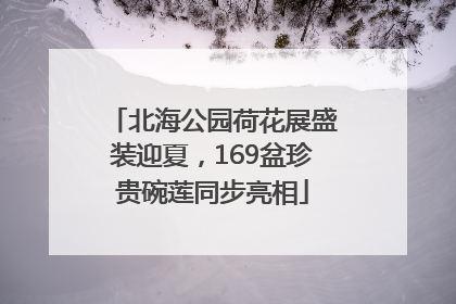 北海公园荷花展盛装迎夏，169盆珍贵碗莲同步亮相