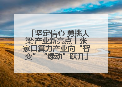坚定信心 勇挑大梁·产业新亮点丨张家口算力产业向“智变”“绿动”跃升