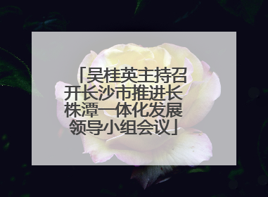 吴桂英主持召开长沙市推进长株潭一体化发展领导小组会议