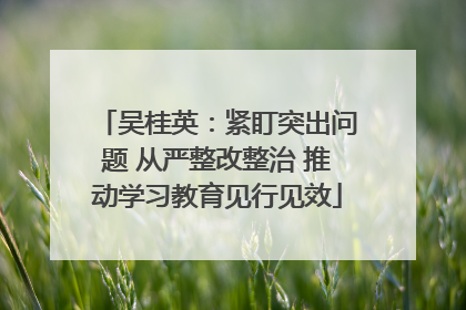 吴桂英：紧盯突出问题 从严整改整治 推动学习教育见行见效