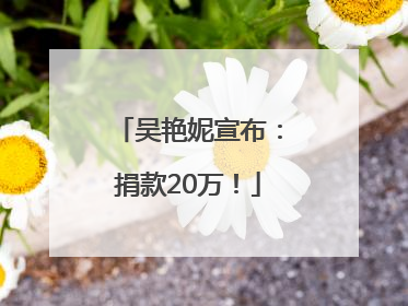 吴艳妮宣布：捐款20万！