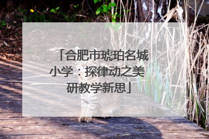 合肥市琥珀名城小学：探律动之美 研教学新思