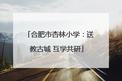 合肥市杏林小学：送教古城 互学共研
