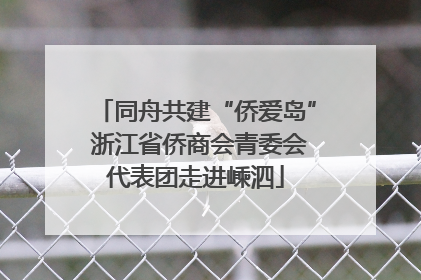 同舟共建“侨爱岛” 浙江省侨商会青委会代表团走进嵊泗