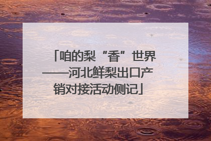 咱的梨“香”世界——河北鲜梨出口产销对接活动侧记
