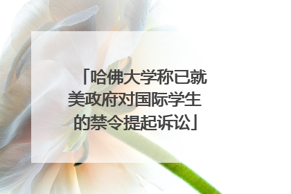 哈佛大学称已就美政府对国际学生的禁令提起诉讼