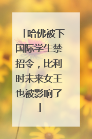 哈佛被下国际学生禁招令，比利时未来女王也被影响了