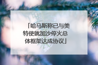 哈马斯称已与美特使就加沙停火总体框架达成协议