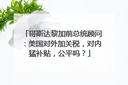 哥斯达黎加前总统顾问：美国对外加关税，对内猛补贴，公平吗？