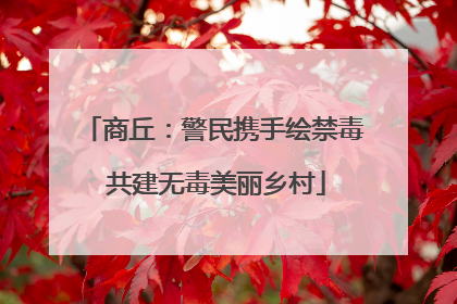 商丘：警民携手绘禁毒 共建无毒美丽乡村