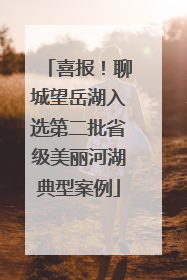 喜报！聊城望岳湖入选第二批省级美丽河湖典型案例
