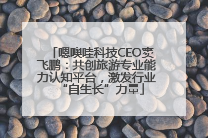嗯噢哇科技CEO窦飞鹏：共创旅游专业能力认知平台，激发行业“自生长”力量