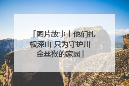 图片故事丨他们扎根深山 只为守护川金丝猴的家园