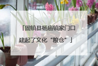 固镇县杨庙镇家门口建起了文化“粮仓”