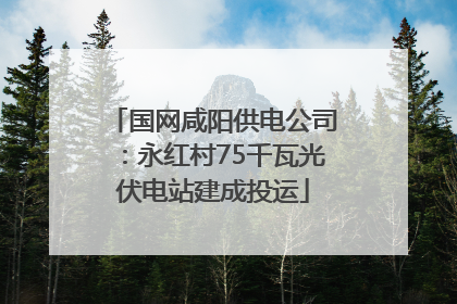 国网咸阳供电公司：永红村75千瓦光伏电站建成投运