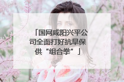 国网咸阳兴平公司全面打好抗旱保供“组合拳”