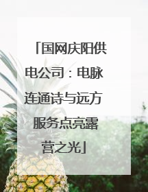 国网庆阳供电公司：电脉连通诗与远方 服务点亮露营之光