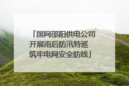 国网邵阳供电公司开展雨后防汛特巡 筑牢电网安全防线