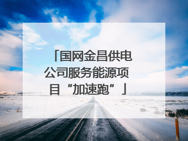 国网金昌供电公司服务能源项目“加速跑”