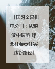 国网金昌供电公司：从积淀中破茧 蝶变社会责任实践新路径