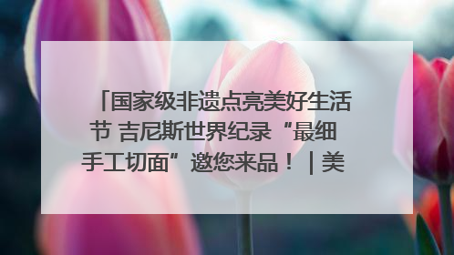 国家级非遗点亮美好生活节 吉尼斯世界纪录“最细手工切面”邀您来品！｜美好生活有“盐”味
