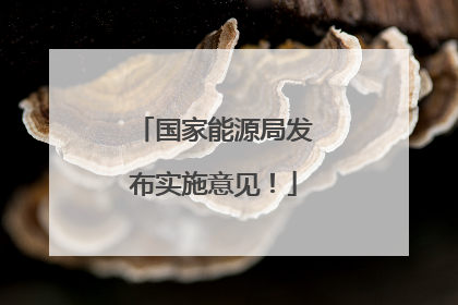 国家能源局发布实施意见！