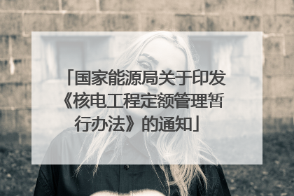 国家能源局关于印发《核电工程定额管理暂行办法》的通知
