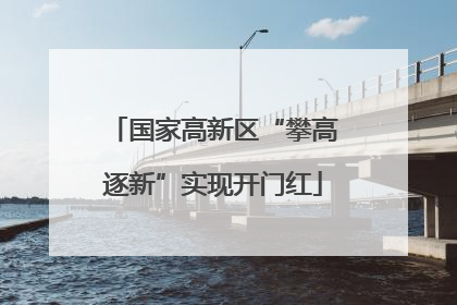 国家高新区“攀高逐新”实现开门红