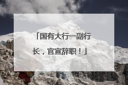 国有大行一副行长，官宣辞职！