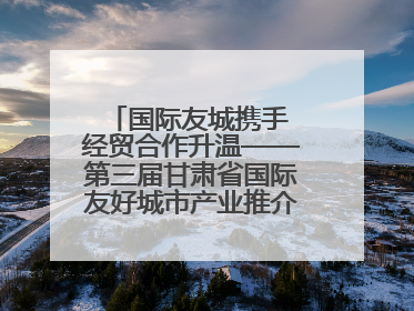 国际友城携手 经贸合作升温——第三届甘肃省国际友好城市产业推介暨经贸合作对接活动特写