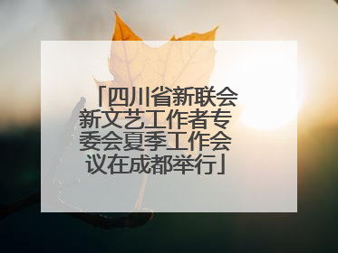 四川省新联会新文艺工作者专委会夏季工作会议在成都举行