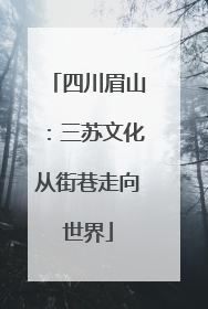 四川眉山：三苏文化从街巷走向世界