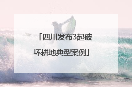 四川发布3起破坏耕地典型案例