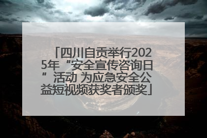 四川自贡举行2025年“安全宣传咨询日”活动 为应急安全公益短视频获奖者颁奖