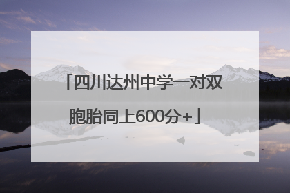 四川达州中学一对双胞胎同上600分+