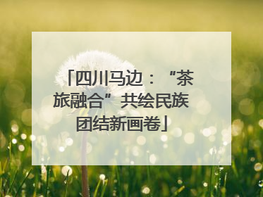四川马边：“茶旅融合”共绘民族团结新画卷