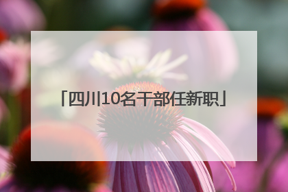 四川10名干部任新职