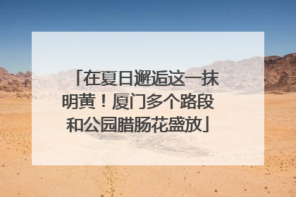 在夏日邂逅这一抹明黄！厦门多个路段和公园腊肠花盛放