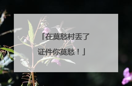 在莫愁村丢了证件你莫愁！