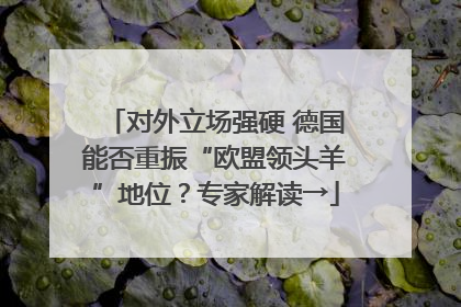 对外立场强硬 德国能否重振“欧盟领头羊”地位？专家解读→