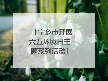 宁乡市开展六五环境日主题系列活动