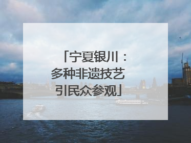 宁夏银川：多种非遗技艺引民众参观