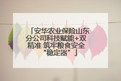 安华农业保险山东分公司科技赋能+双精准 筑牢粮食安全“稳定器”
