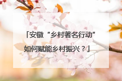 安徽“乡村著名行动”如何赋能乡村振兴？