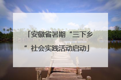 安徽省暑期“三下乡”社会实践活动启动