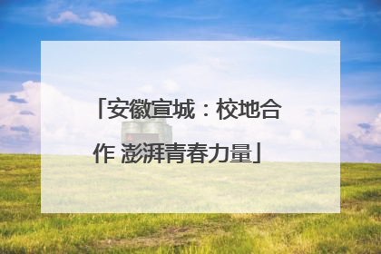 安徽宣城：校地合作 澎湃青春力量