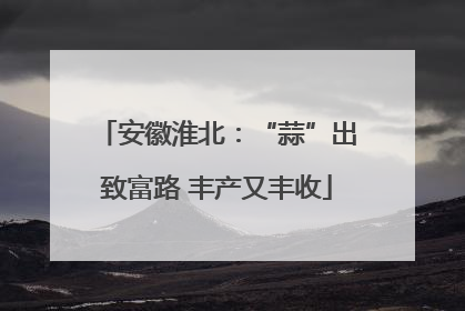 安徽淮北：“蒜”出致富路 丰产又丰收