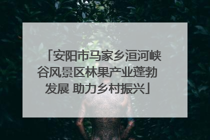 安阳市马家乡洹河峡谷风景区林果产业蓬勃发展 助力乡村振兴