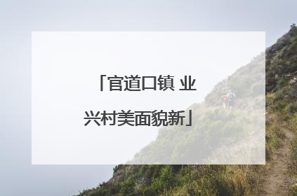 官道口镇 业兴村美面貌新