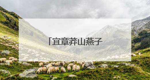 宜章莽山燕子岩：溶洞“避暑游”火出圈